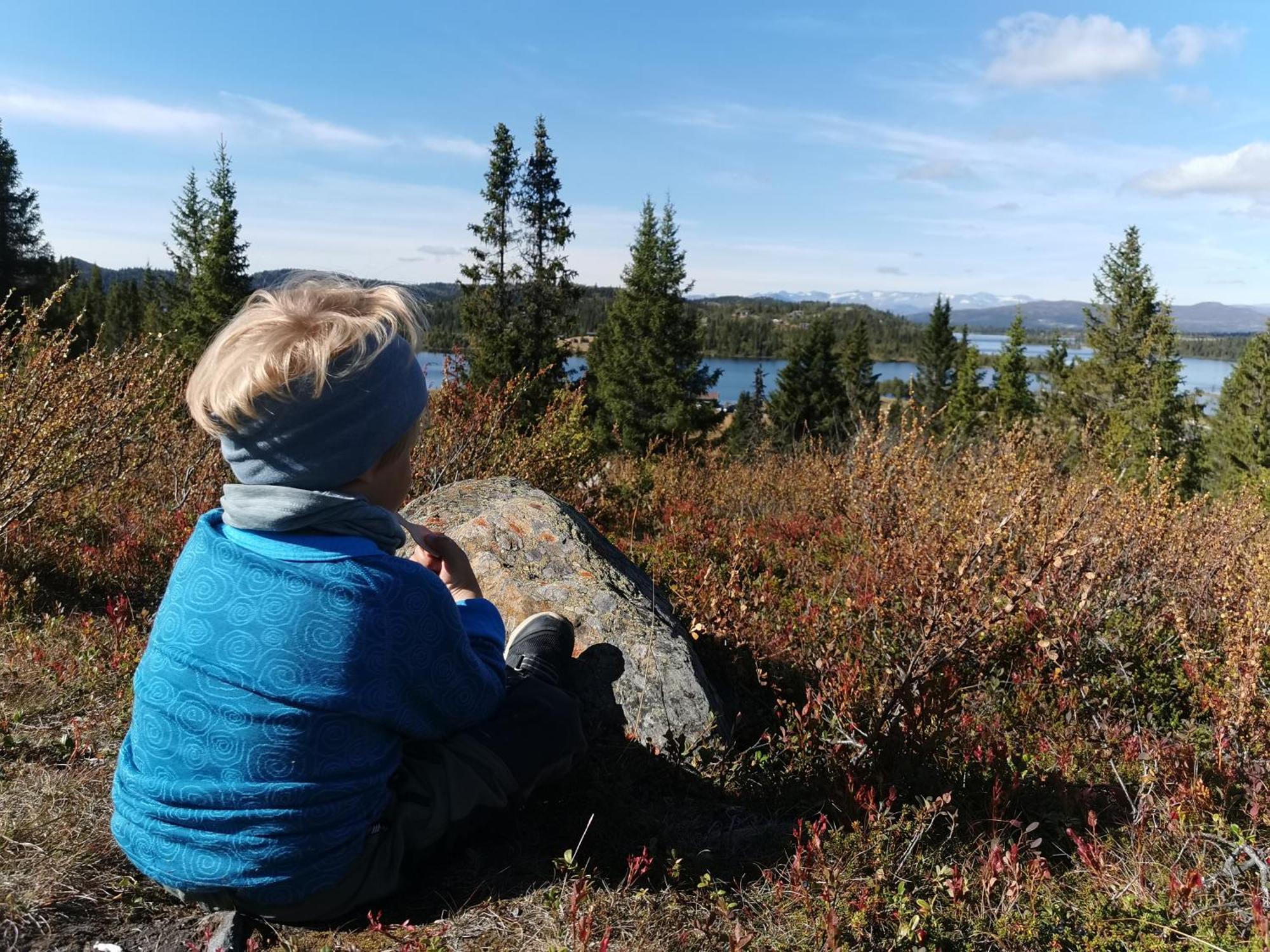 Отель Gronolen Fjellgard Beitostolen Экстерьер фото